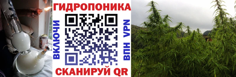 Бошки марихуана OG Kush Тырныауз